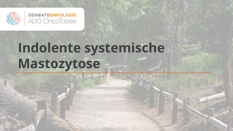 indolente systemische mastozytose vortrag titelbild
